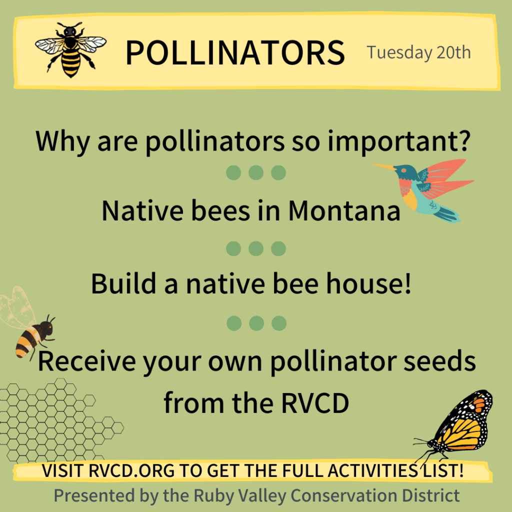 Earth Week Day 2: Pollinators!